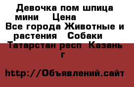 Девочка пом шпица мини  › Цена ­ 30 000 - Все города Животные и растения » Собаки   . Татарстан респ.,Казань г.